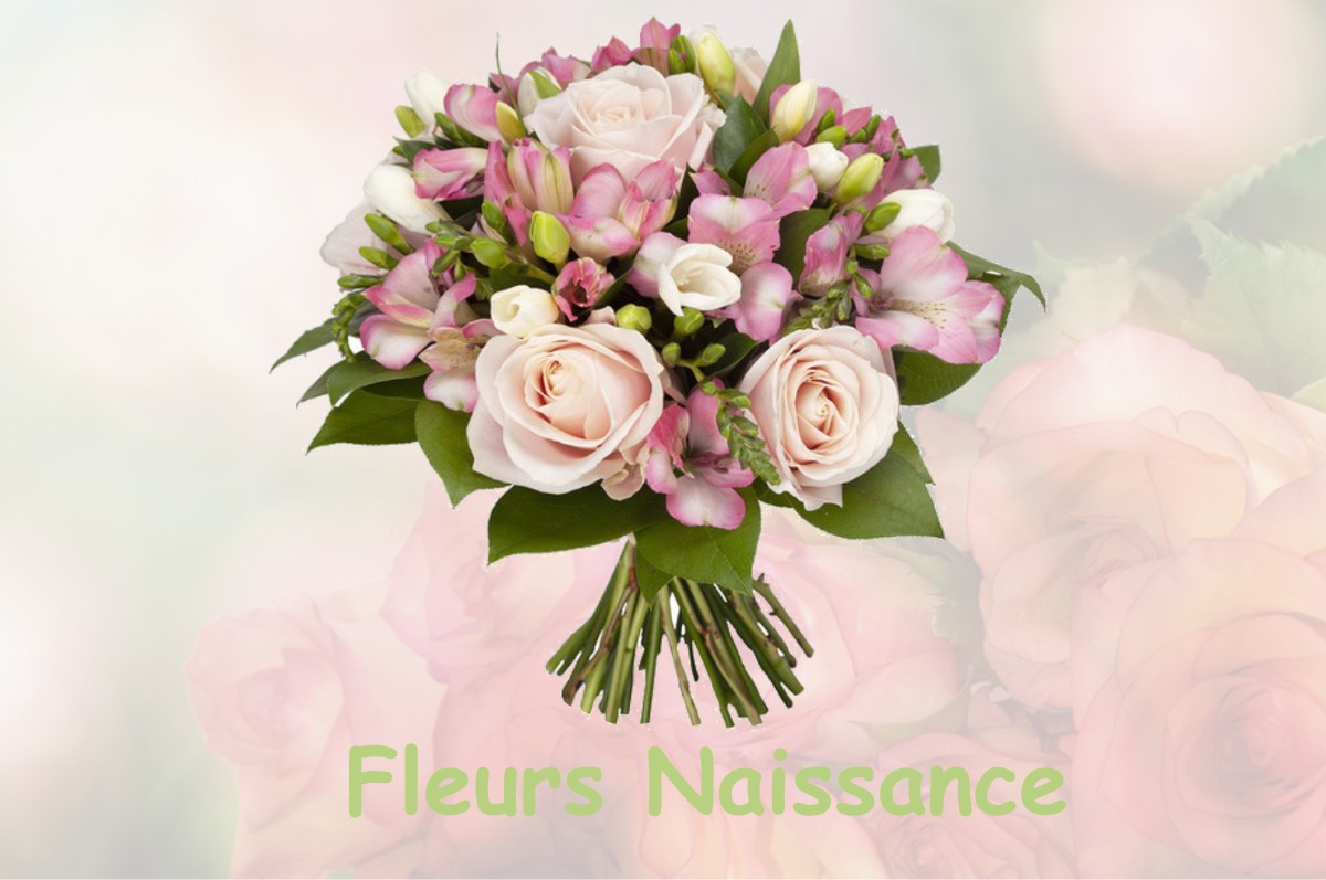 fleurs naissance MORGEMOULIN